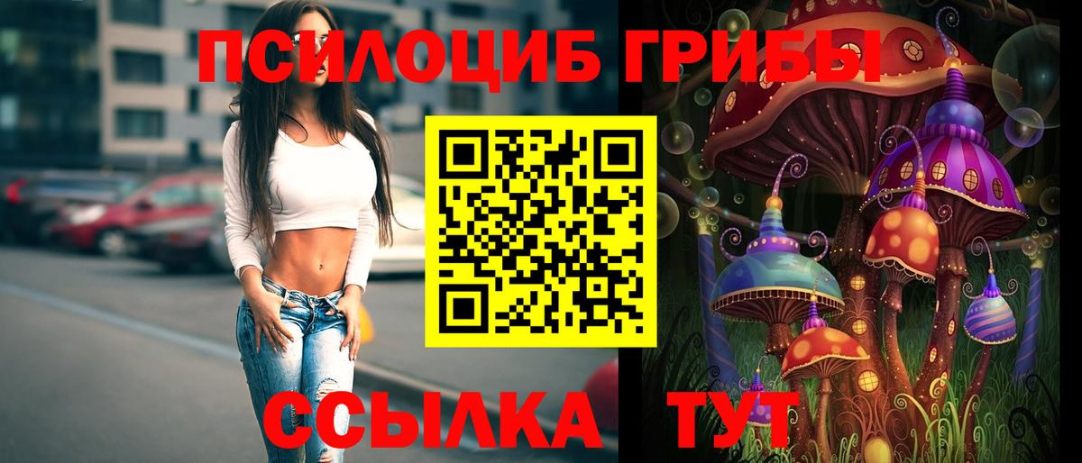 Златоуст  купить наркотик  Вход с VPN  Галлюциногенные грибы ЛСД 