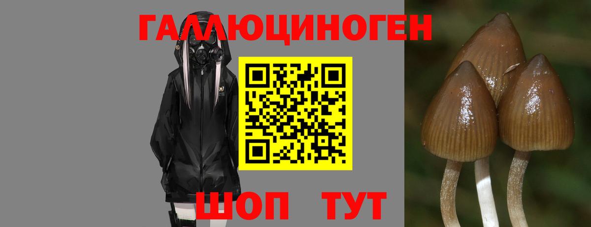 Псилоцибиновые грибы мицелий Златоуст